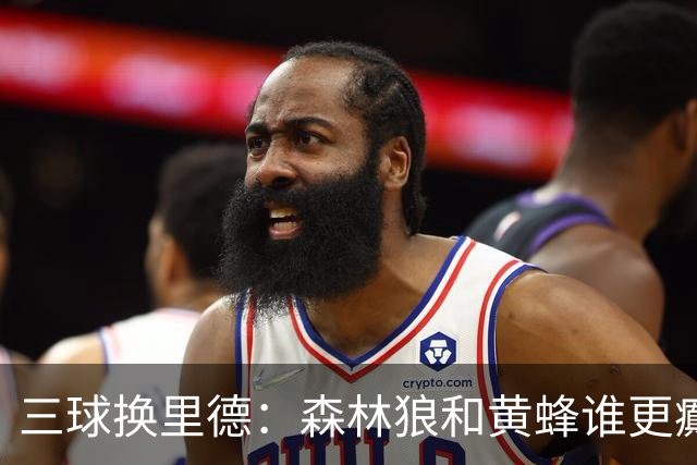 三球换里德：森林狼和黄蜂谁更癫？！